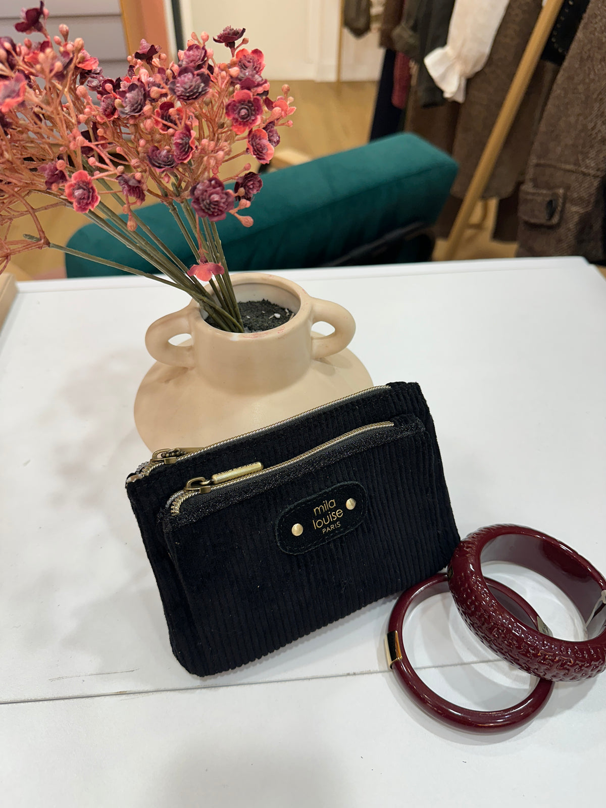 SAC PALOMA VFR2